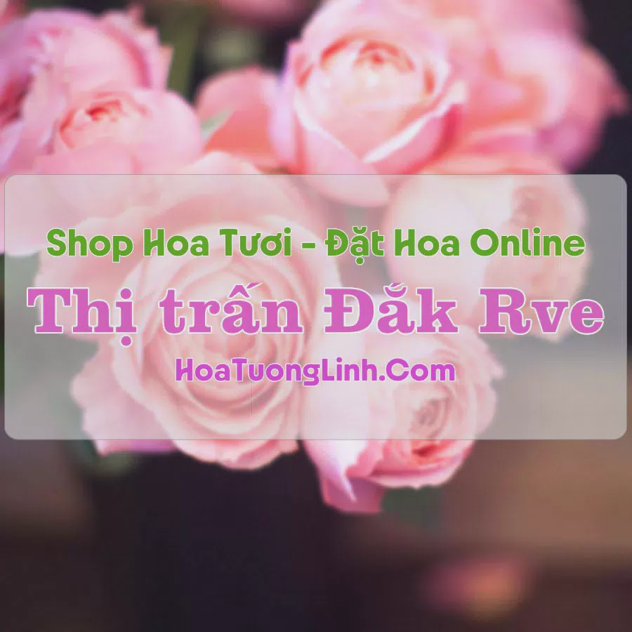 Shop Hoa Tươi Thị trấn Đắk Rve - Kon Tum