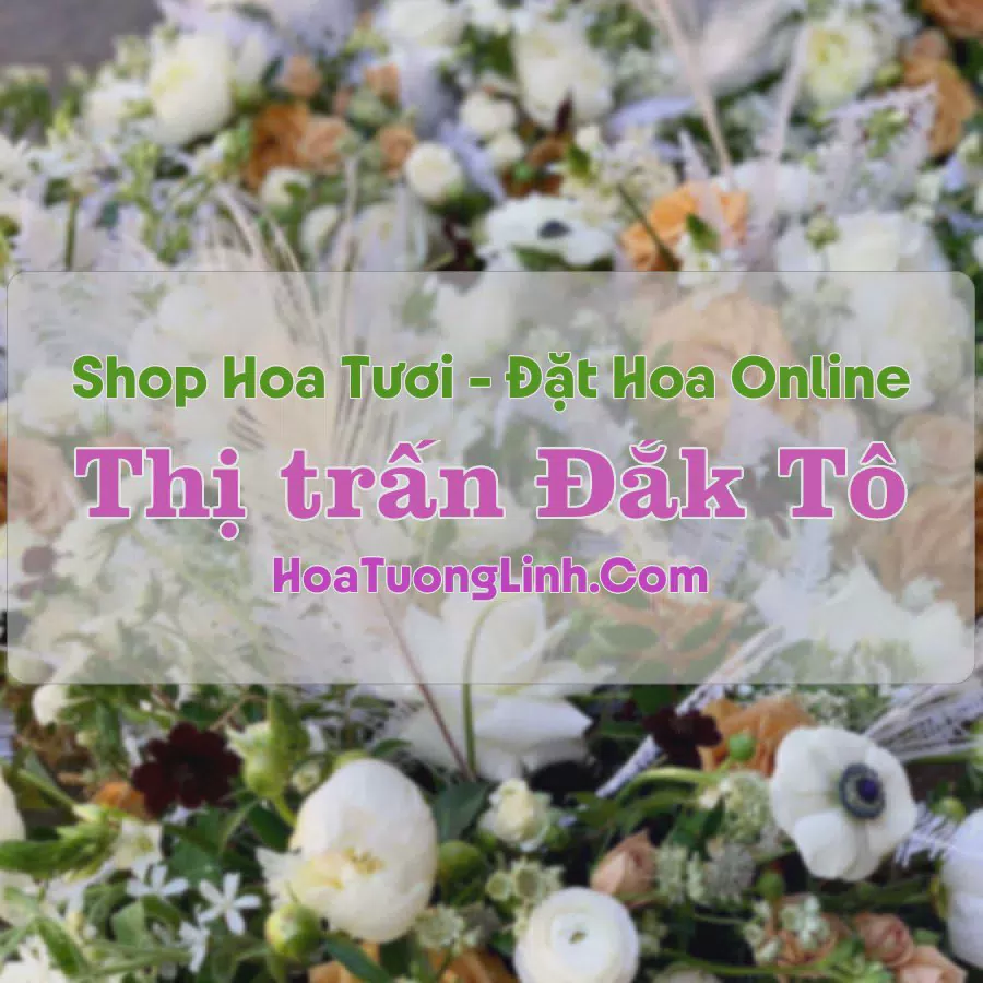 Shop Hoa Tươi Thị trấn Đắk Tô - Kon Tum