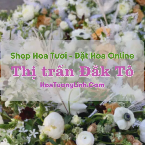Shop Hoa Tươi Thị trấn Đắk Tô - Kon Tum