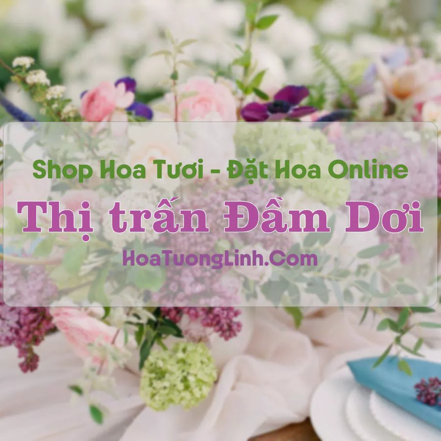 Shop Hoa Tươi Thị Trấn Đầm Dơi – Cà Mau