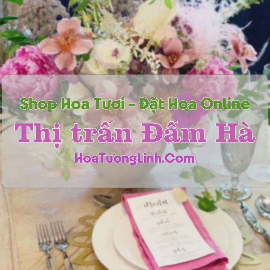 Shop Hoa Tươi Thị Trấn Đầm Hà - Quảng Ninh