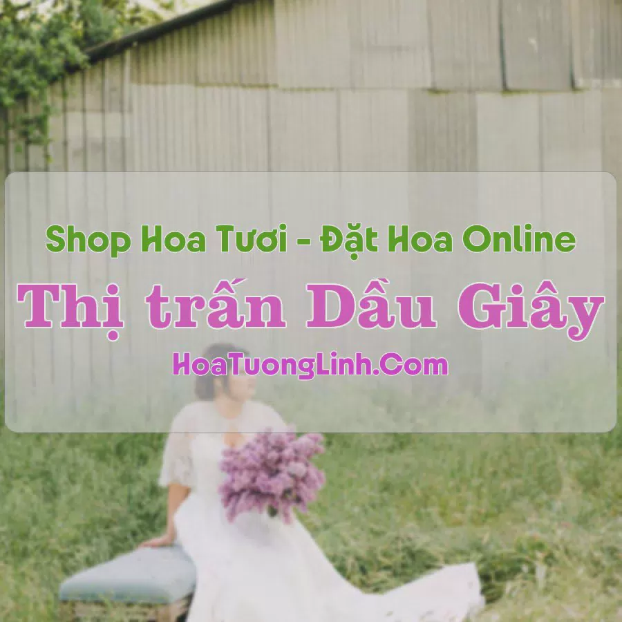 Shop Hoa Tươi Thị Trấn Dầu Giây - Đồng Nai