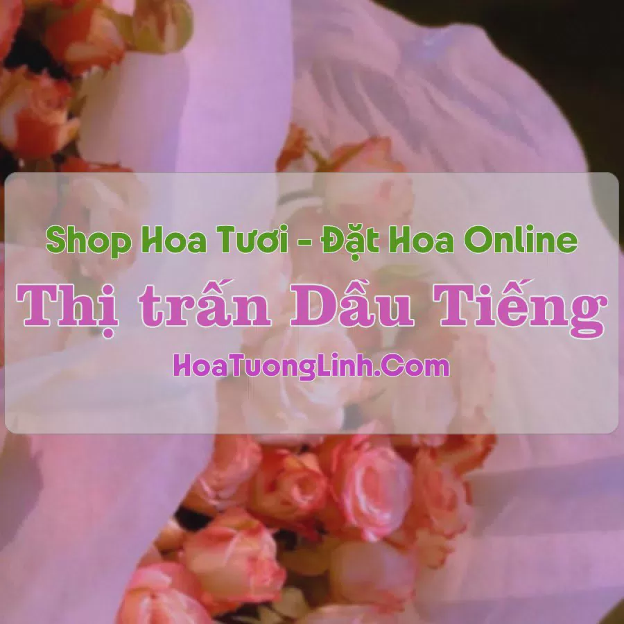 Shop Hoa Tươi Thị trấn Dầu Tiếng - Bình Dương
