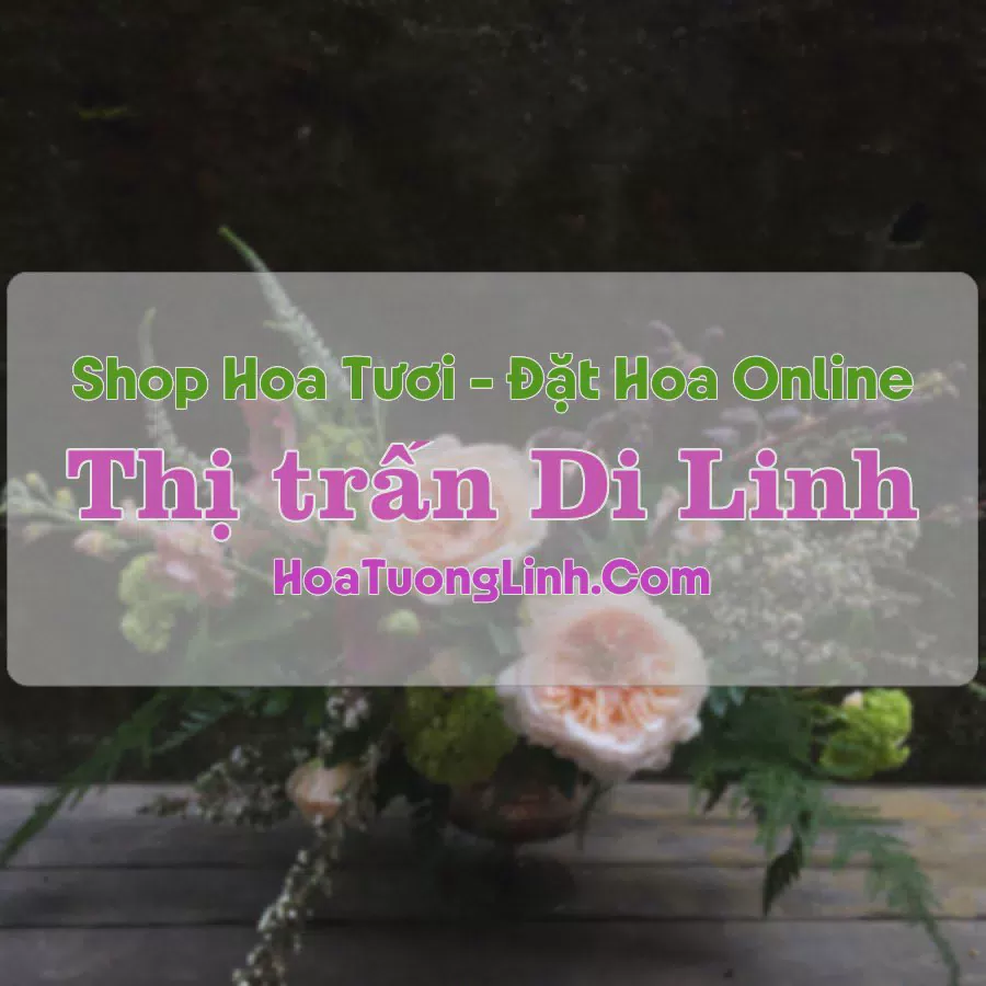 Shop Hoa Tươi Thị Trấn Di Linh - Lâm Đồng