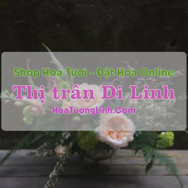 Shop Hoa Tươi Thị Trấn Di Linh - Lâm Đồng