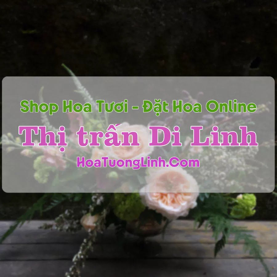 Shop Hoa Tươi Thị Trấn Di Linh – Lâm Đồng