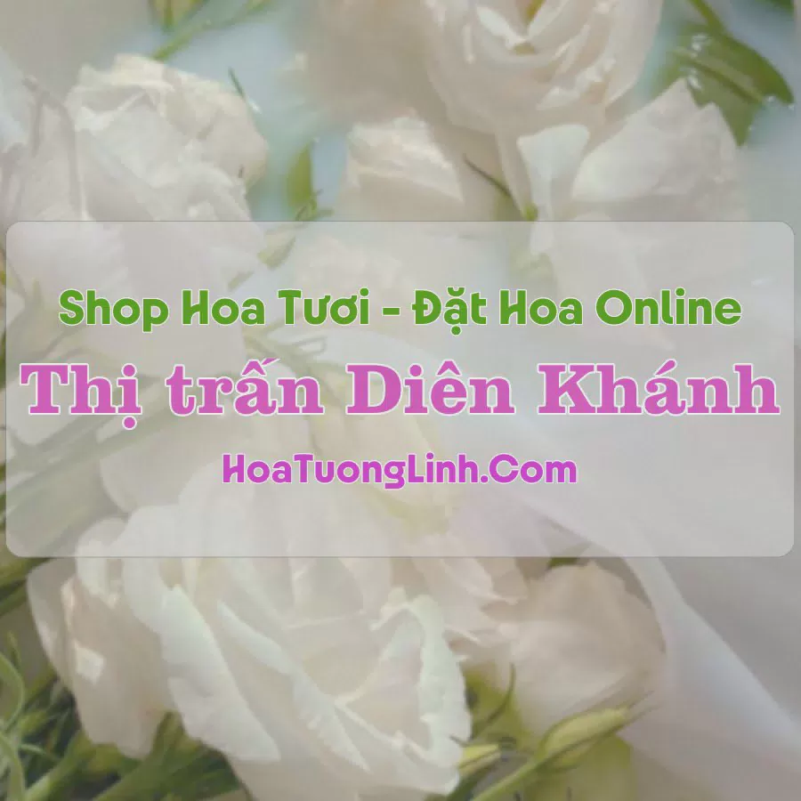 Shop Hoa Tươi Thị trấn Diên Khánh - Khánh Hòa