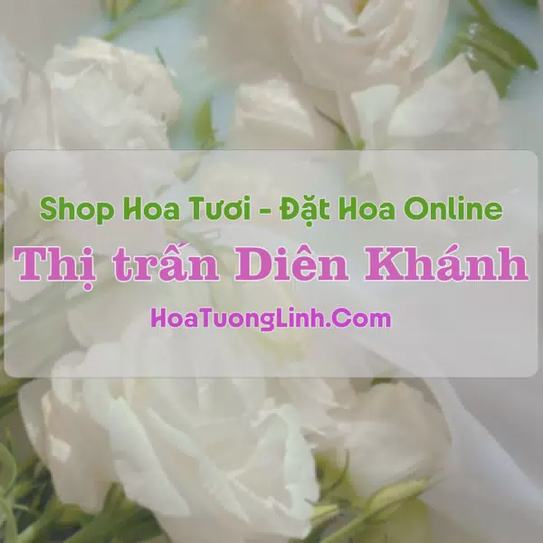 Shop Hoa Tươi Thị trấn Diên Khánh - Khánh Hòa