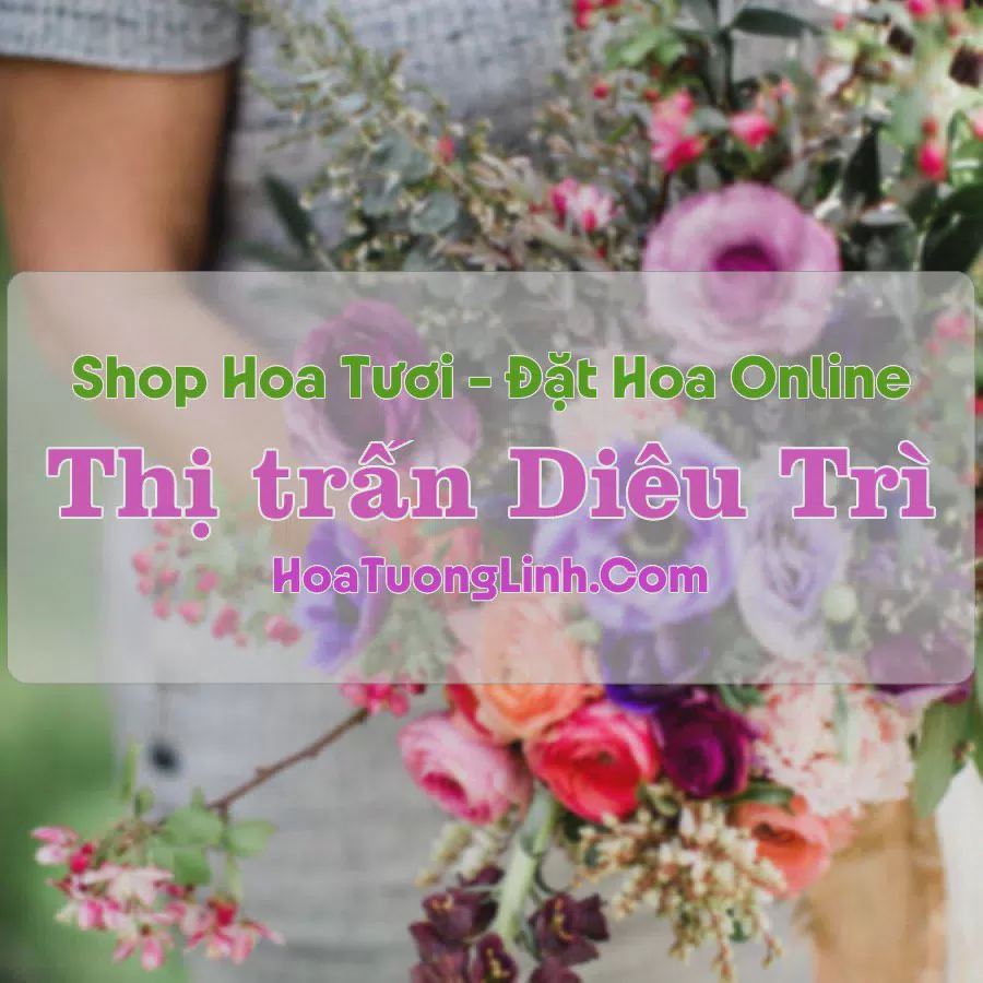 Shop Hoa Tươi Thị trấn Diêu Trì - Bình Định