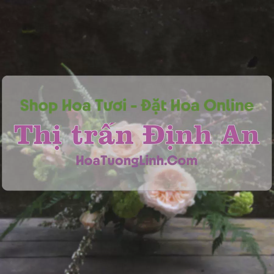 Shop Hoa Tươi Thị trấn Định An - Trà Vinh