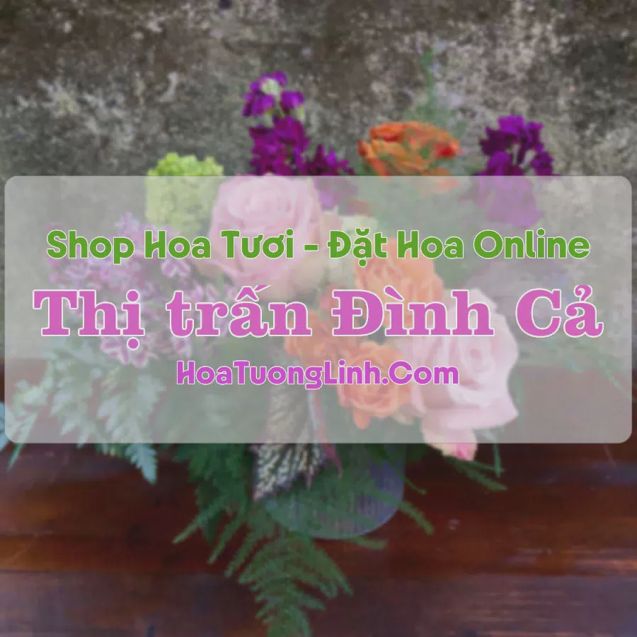 Shop Hoa Tươi Đình Cả - Võ Nhai, Thái Nguyên