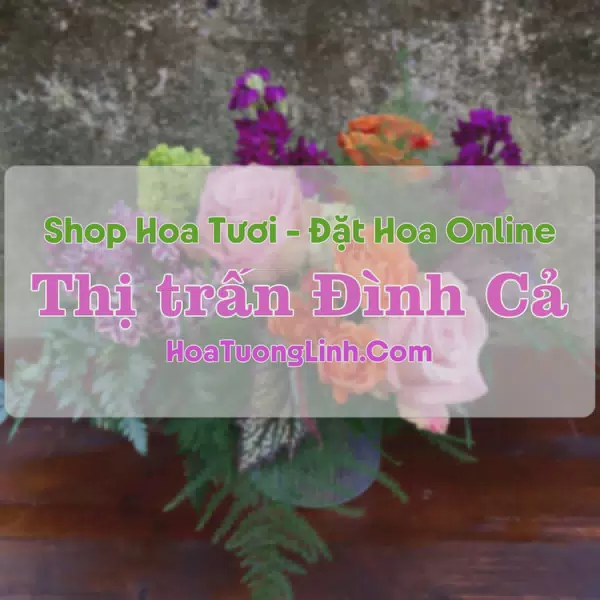 Shop Hoa Tươi Đình Cả - Võ Nhai, Thái Nguyên