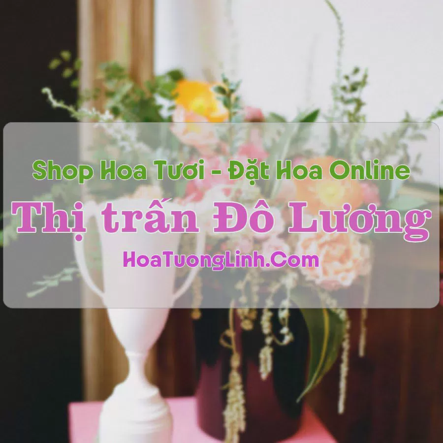 Shop Hoa Tươi Thị trấn Đô Lương - Nghệ An