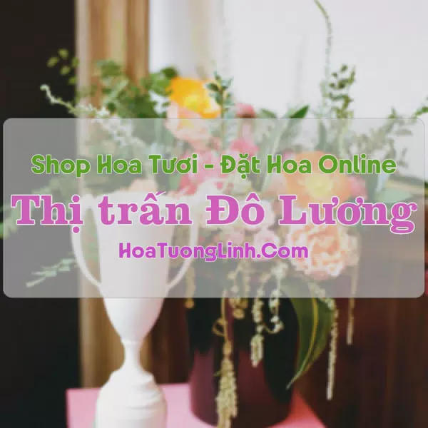 Shop Hoa Tươi Thị trấn Đô Lương - Nghệ An