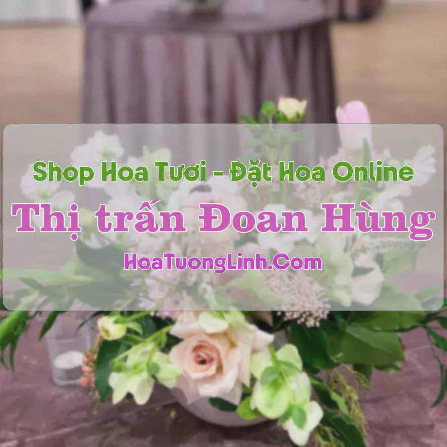 Shop Hoa Tươi Thị Trấn Đoan Hùng - Phú Thọ