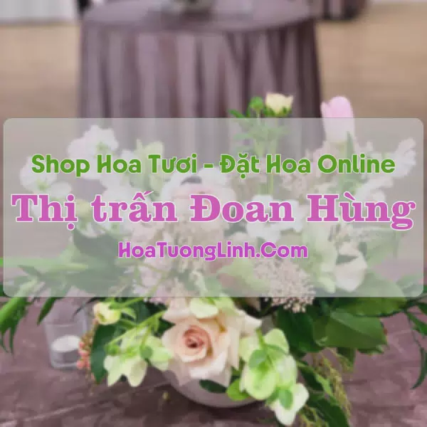 Shop Hoa Tươi Thị Trấn Đoan Hùng - Phú Thọ