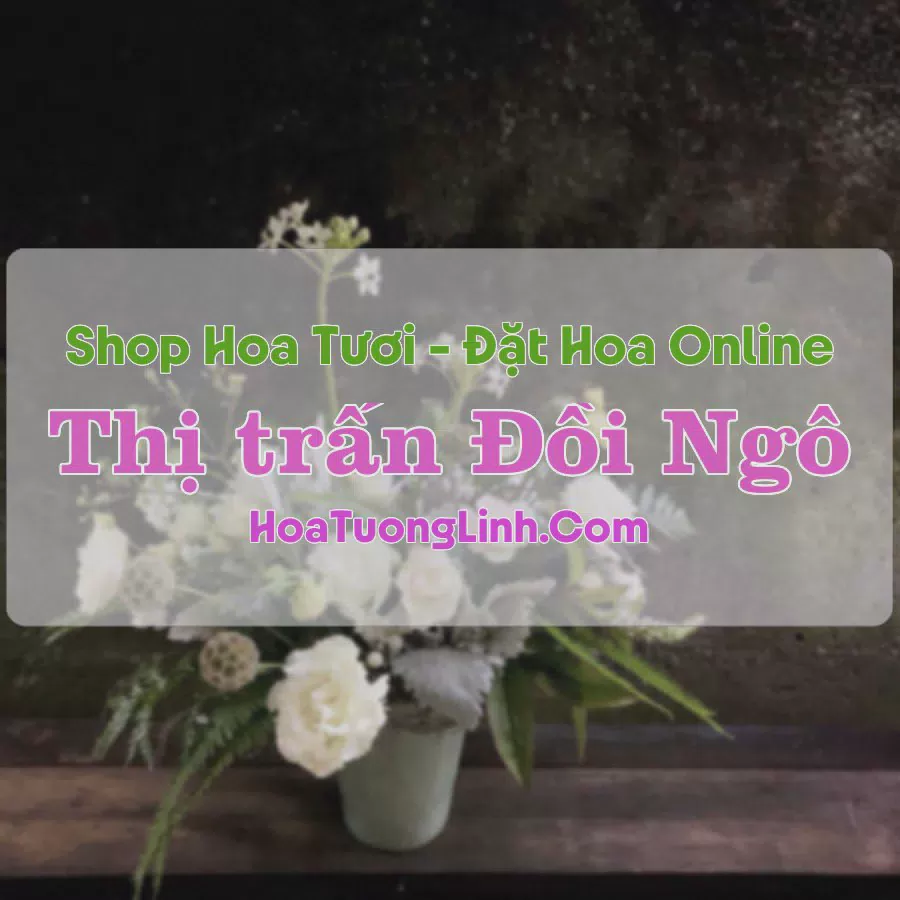 Shop Hoa Tươi Thị Trấn Đồi Ngô - Bắc Giang