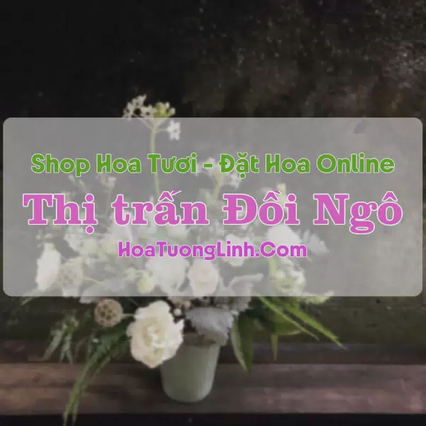 Shop Hoa Tươi Thị Trấn Đồi Ngô - Bắc Giang