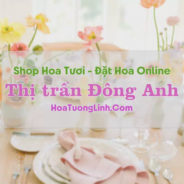 Shop Hoa Tươi Thị trấn Đông Anh - Hà Nội