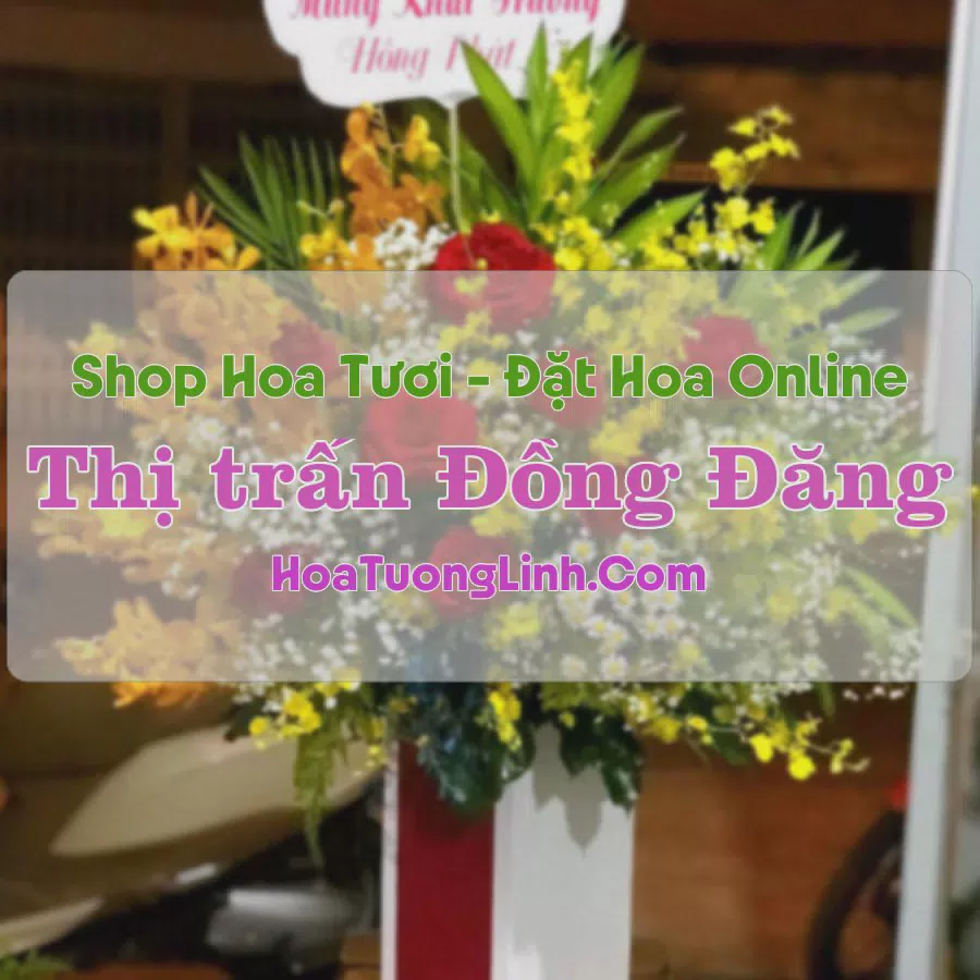 Shop Hoa Tươi Thị Trấn Đồng Đăng - Lạng Sơn