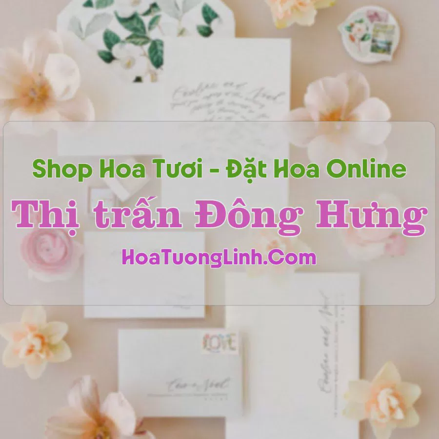 Shop Hoa Tươi Thị trấn Đông Hưng - Thái Bình