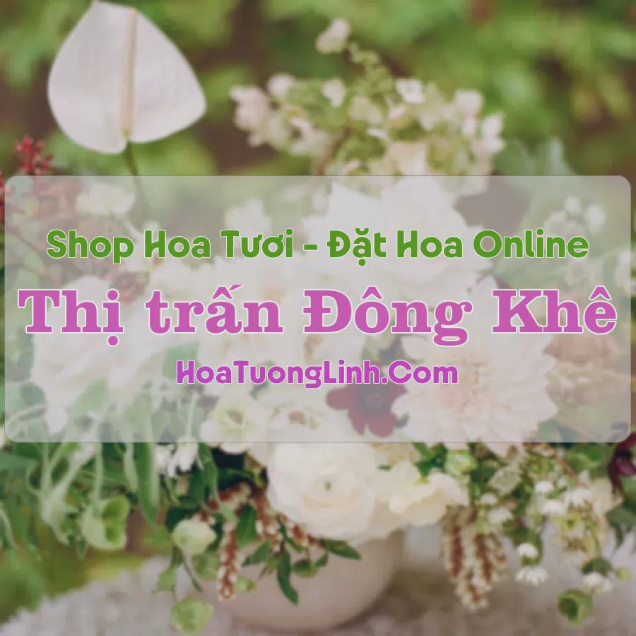Shop Hoa Tươi Thị trấn Đông Khê - Cao Bằng