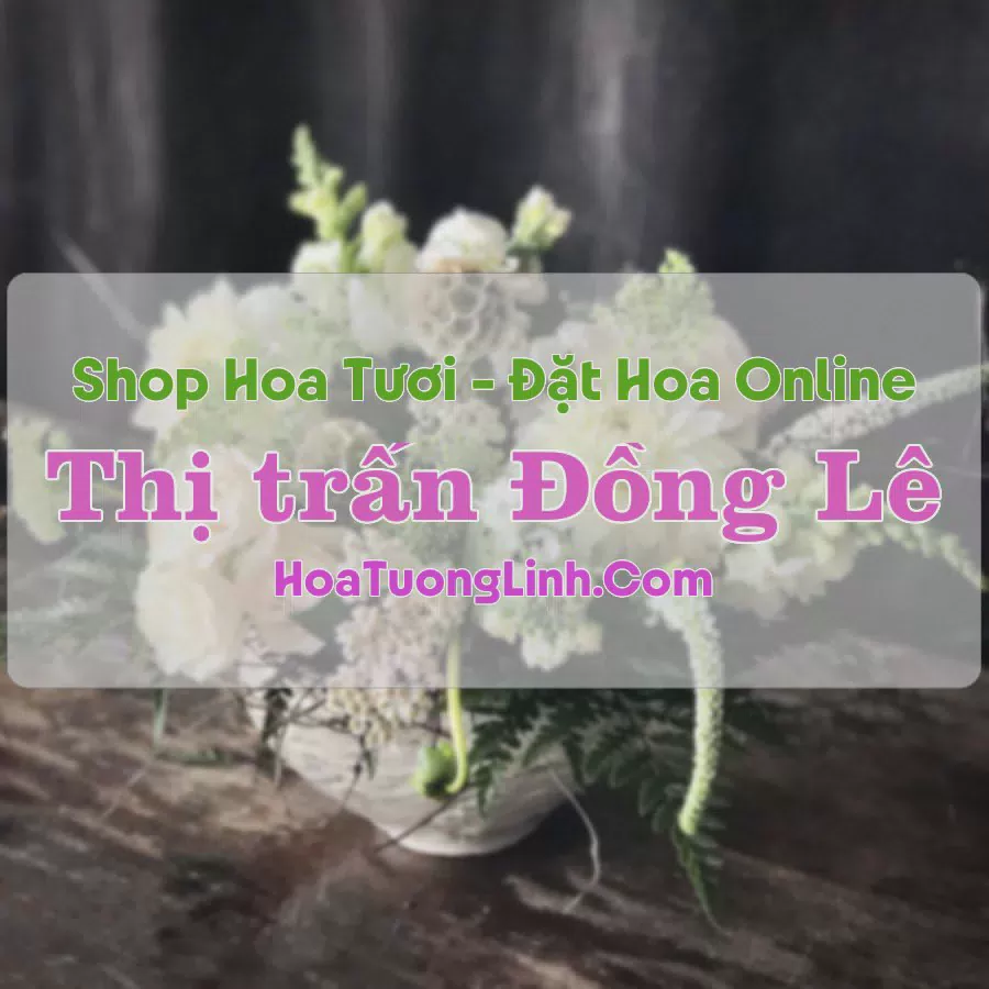 Shop Hoa Tươi Thị trấn Đồng Lê - Quảng Bình