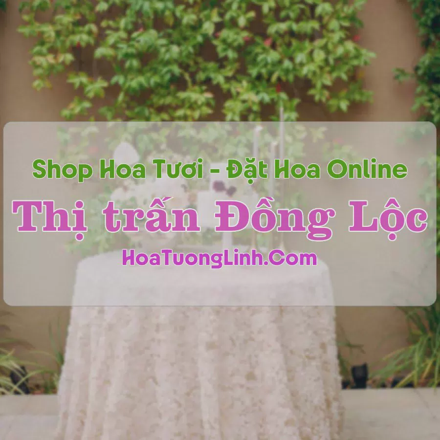 Shop Hoa Tươi Thị Trấn Đồng Lộc - Hà Tĩnh