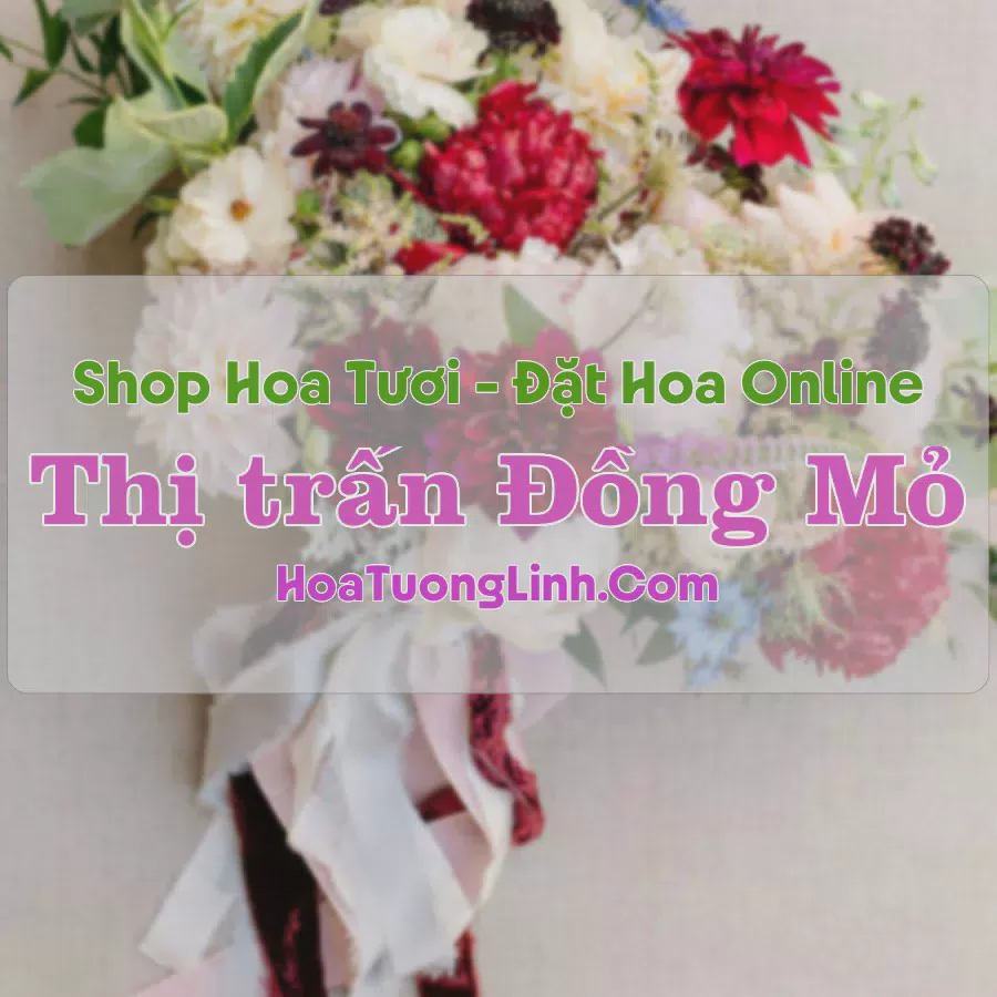 Shop Hoa Tươi Thị Trấn Đồng Mỏ - Lạng Sơn