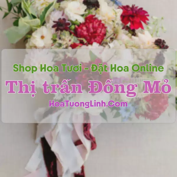 Shop Hoa Tươi Thị Trấn Đồng Mỏ - Lạng Sơn