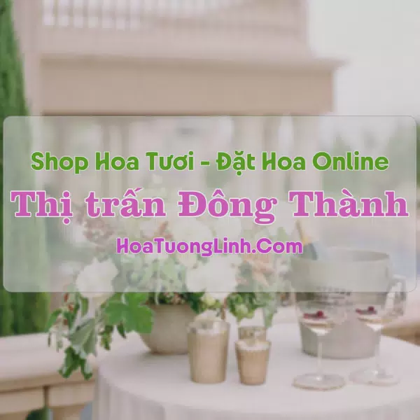 Shop Hoa Tươi Thị trấn Đông Thành - Long An