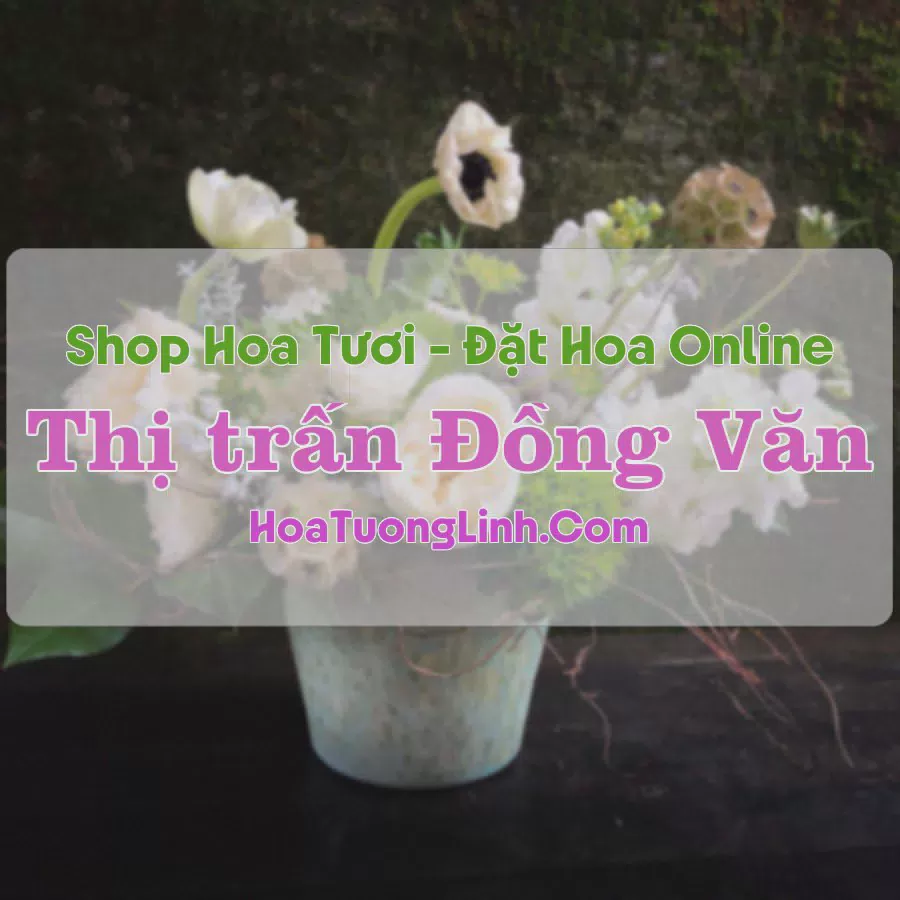 Shop Hoa Tươi Thị Trấn Đồng Văn - Hà Giang