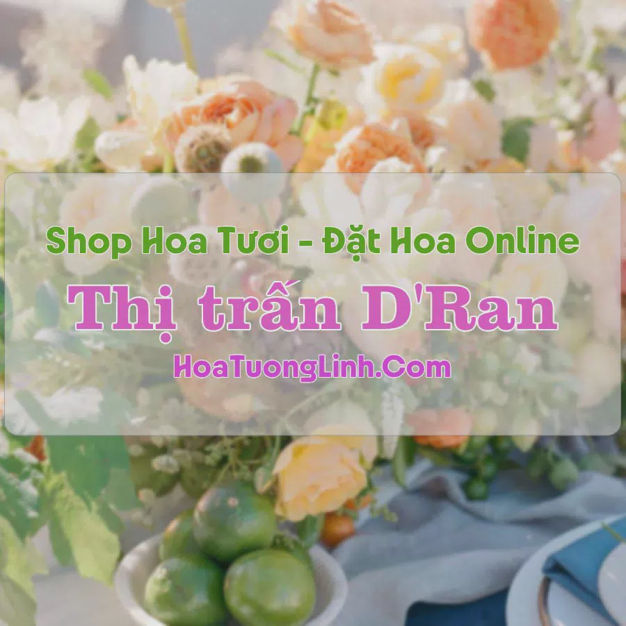 Shop Hoa Tươi Thị Trấn D'Ran - Lâm Đồng
