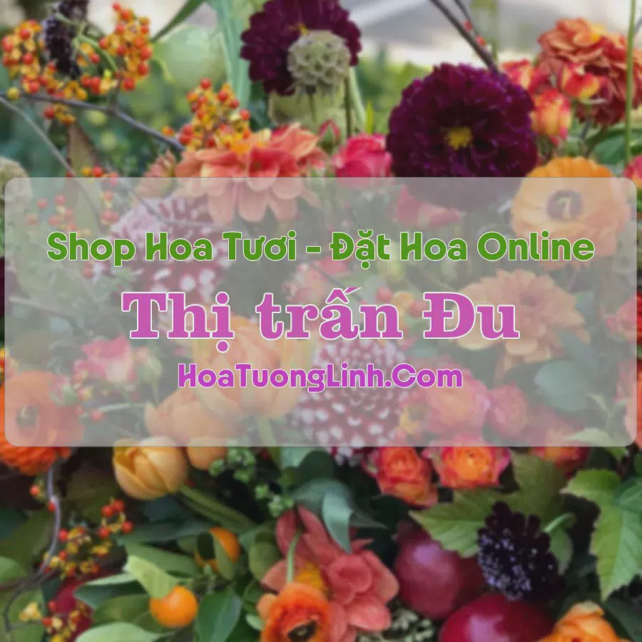 Shop Hoa Tươi Đu - Phú Lương, Thái Nguyên