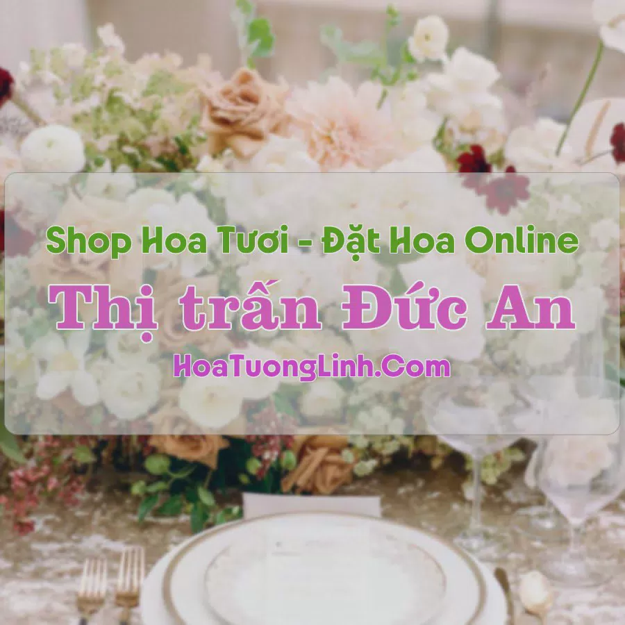 Shop Hoa Tươi Thị Trấn Đức An - Đắk Nông