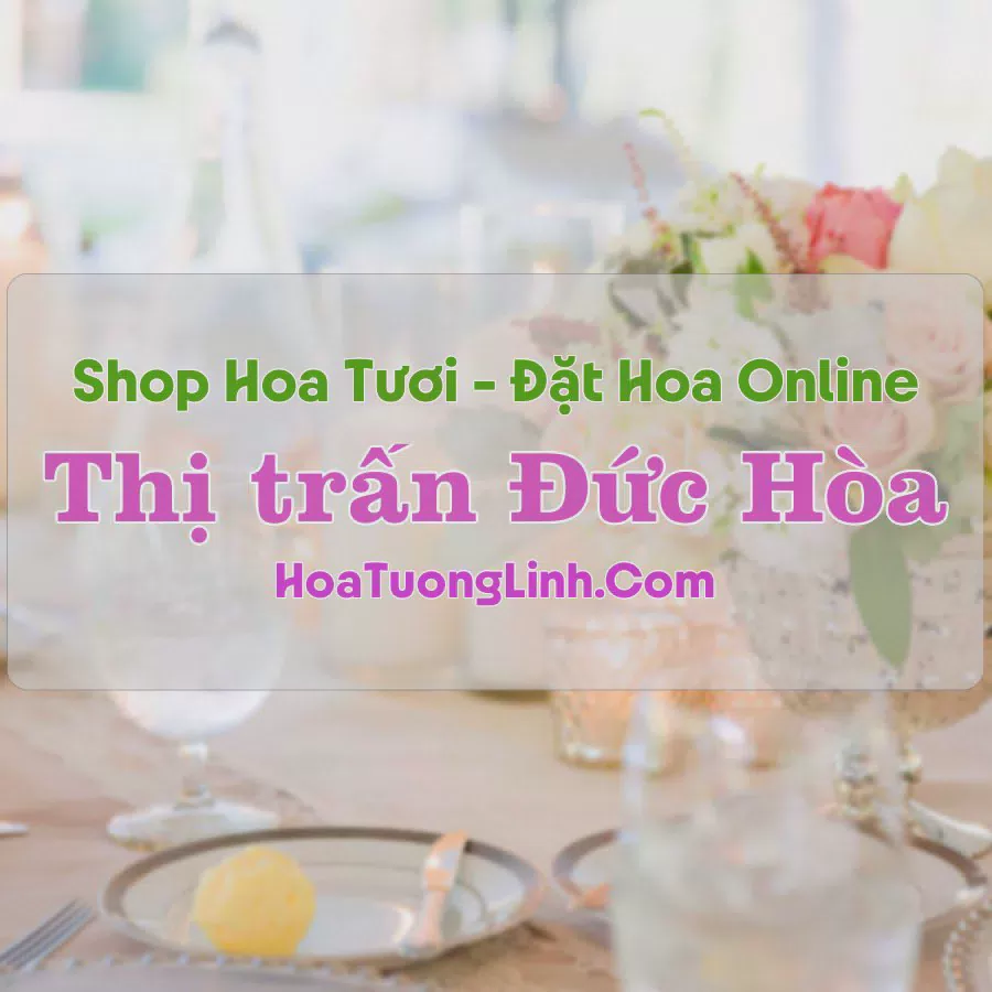 Shop Hoa Tươi Thị trấn Đức Hòa - Long An