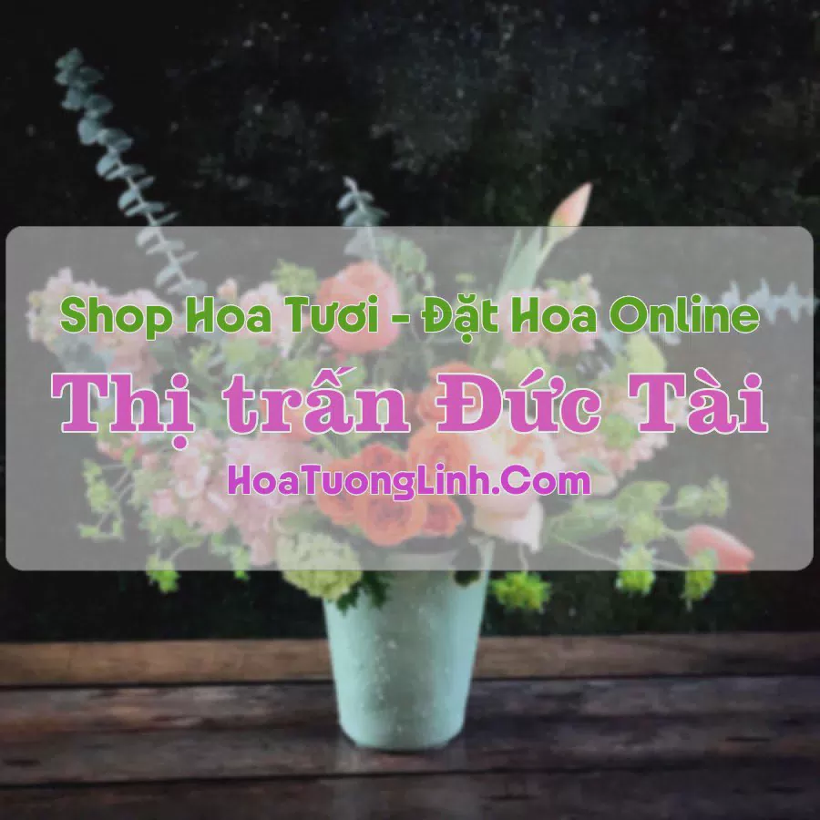 Shop Hoa Tươi Thị trấn Đức Tài - Bình Thuận