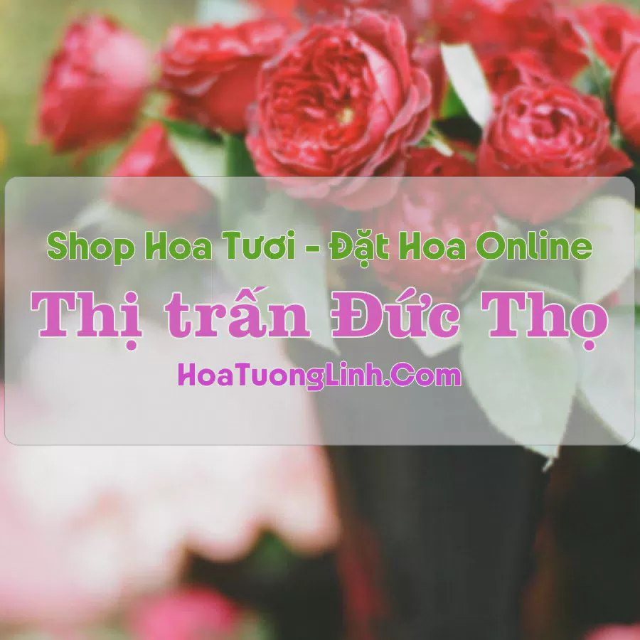 Shop Hoa Tươi Thị trấn Đức Thọ - Hà Tĩnh