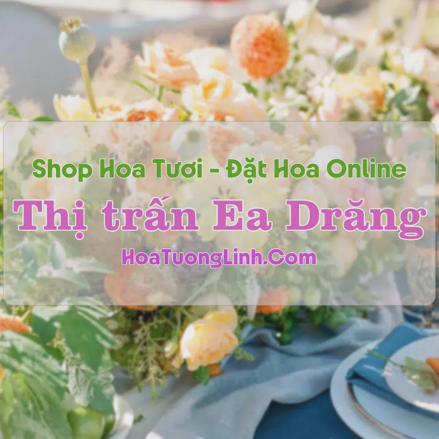Shop Hoa Tươi Thị Trấn Ea Drăng - Đắk Lắk