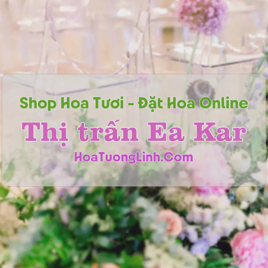 Shop Hoa Tươi Thị trấn Ea Kar - Đắk Lắk