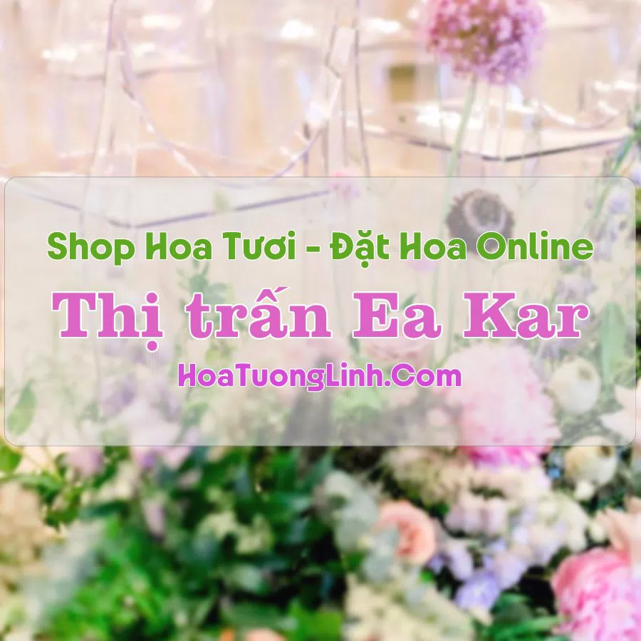Shop Hoa Tươi Thị trấn Ea Kar – Đắk Lắk