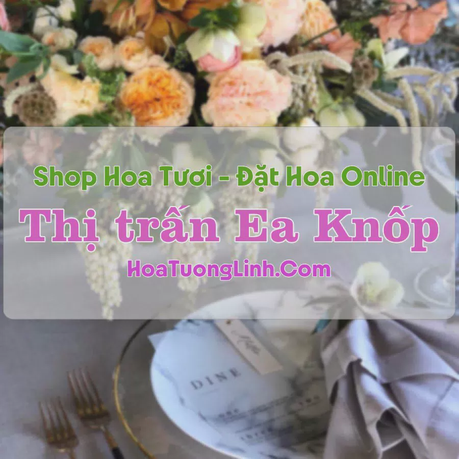 Shop Hoa Tươi Thị trấn Ea Knốp - Đắk Lắk