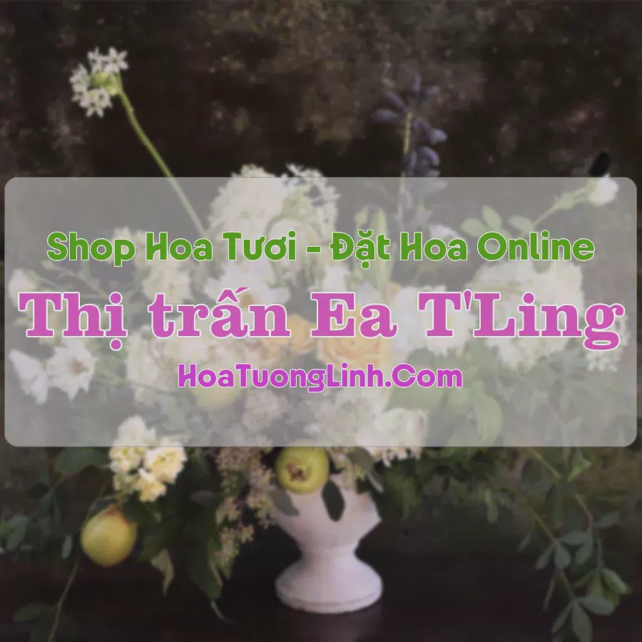 Shop Hoa Tươi Thị trấn Ea T'Ling - Đắk Nông