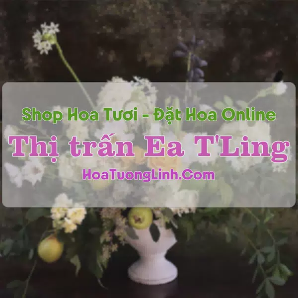 Shop Hoa Tươi Thị trấn Ea T'Ling - Đắk Nông