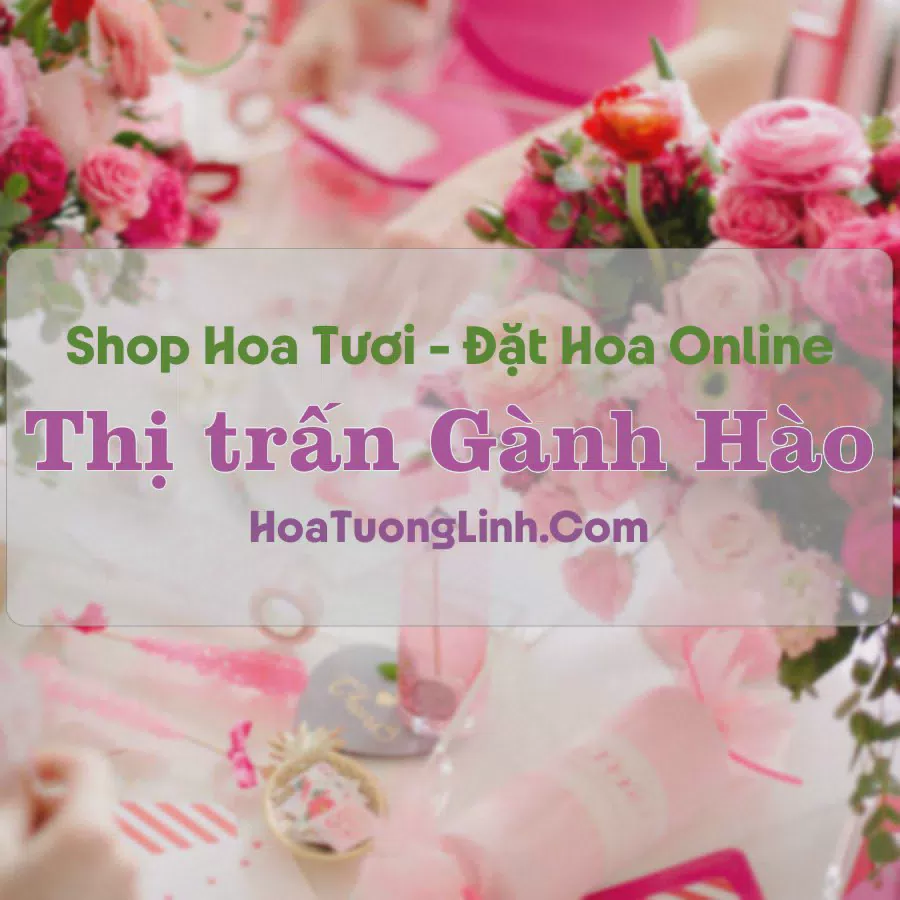 Shop Hoa Tươi Thị Trấn Gành Hào - Bạc Liêu