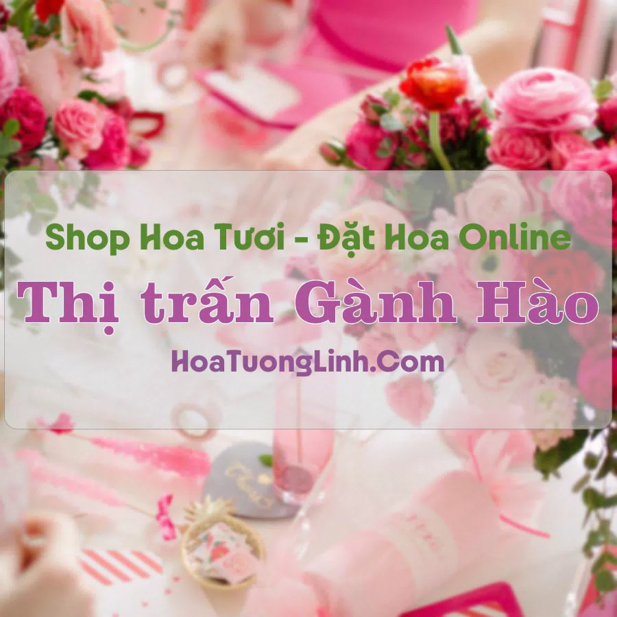 Shop Hoa Tươi Thị Trấn Gành Hào – Bạc Liêu