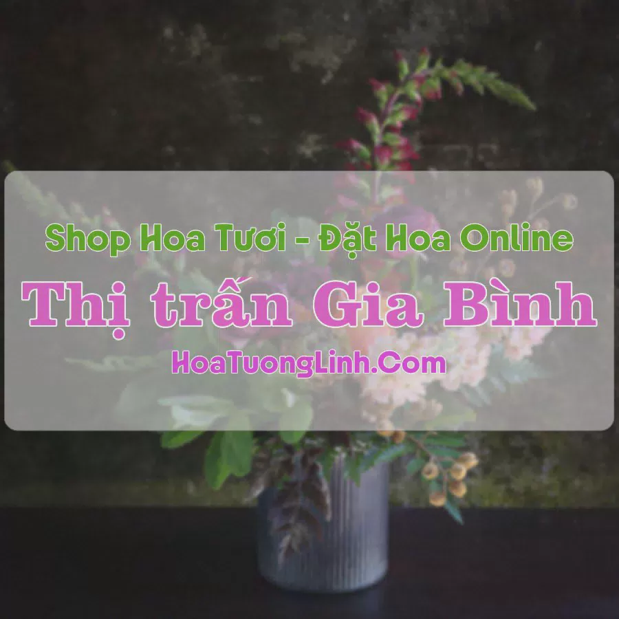 Shop Hoa Tươi Thị Trấn Gia Bình - Bắc Ninh