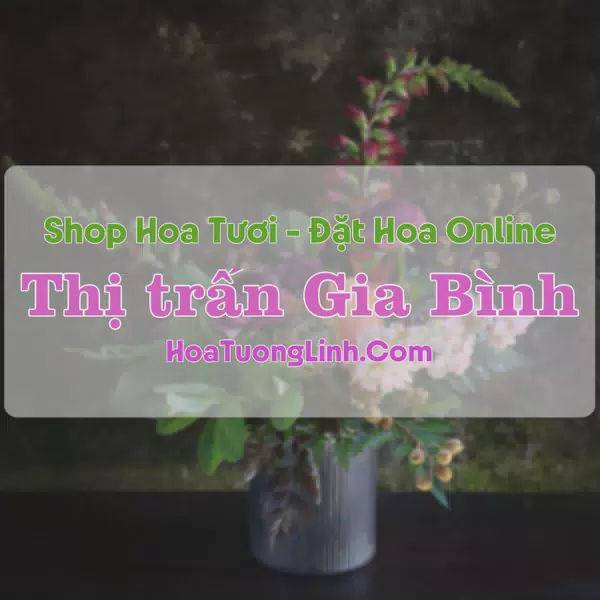 Shop Hoa Tươi Thị Trấn Gia Bình - Bắc Ninh