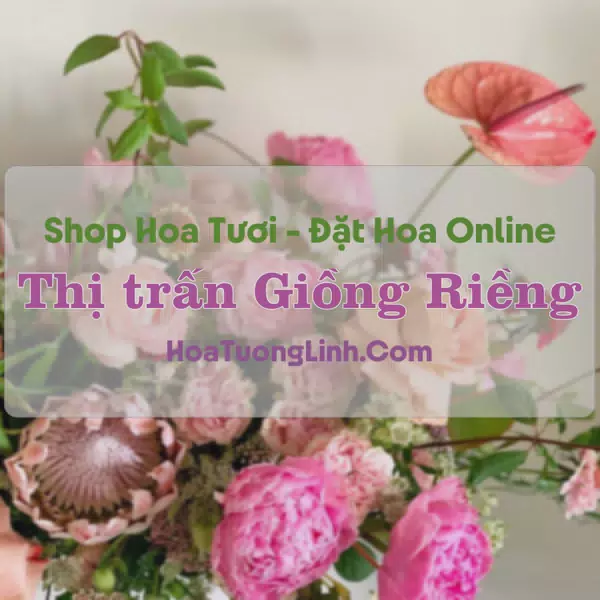 Shop Hoa Tươi Thị Trấn Giồng Riềng - Kiên Giang