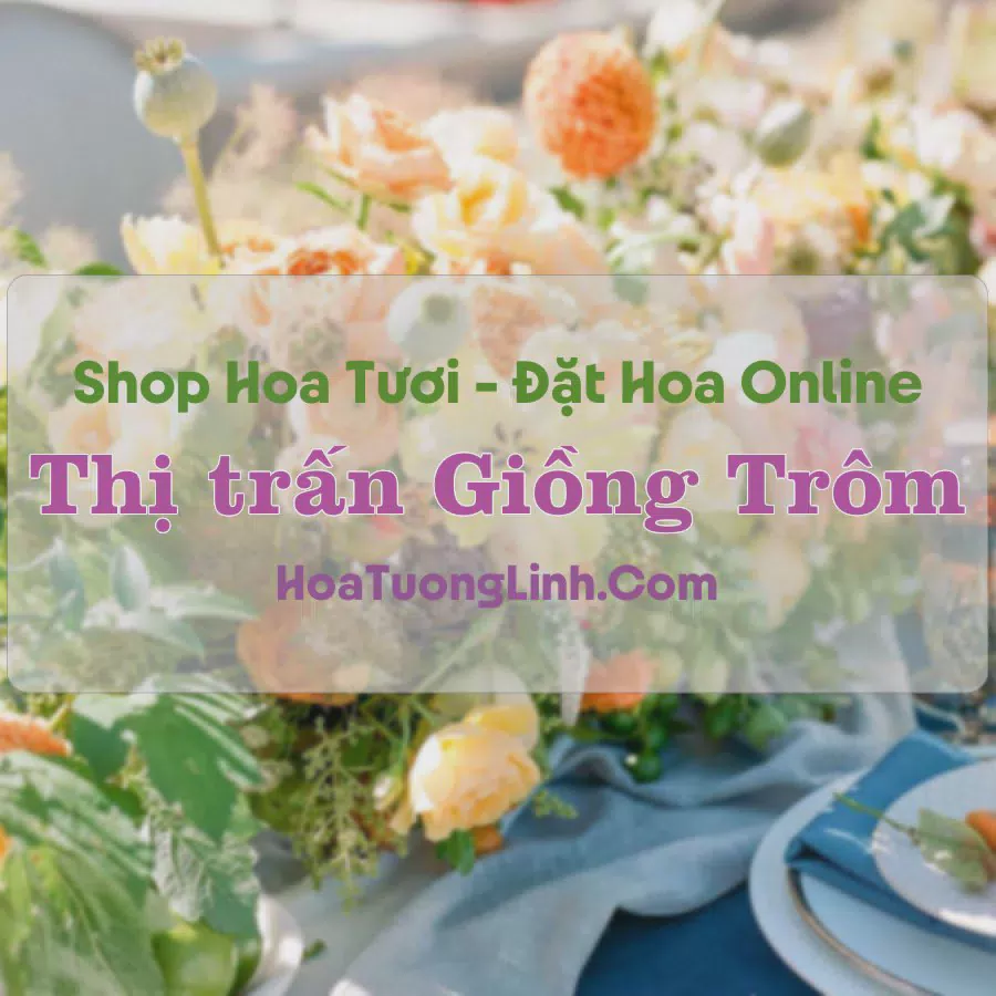 Shop Hoa Tươi Thị Trấn Giồng Trôm - Bến Tre